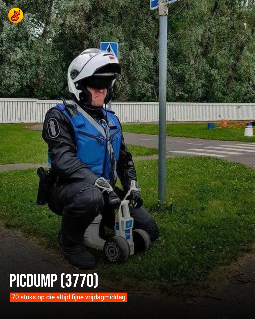 Picdump (3770)