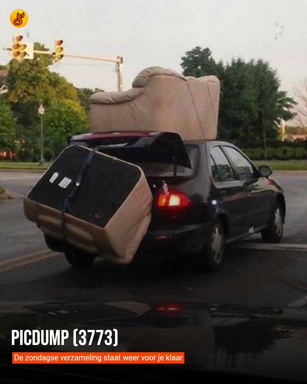 Picdump (3773)