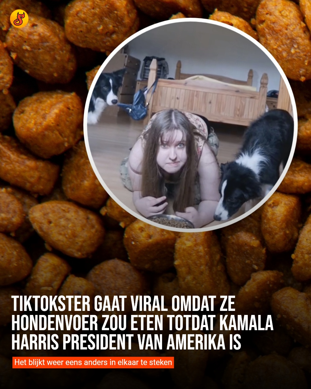 TikTokster gaat viral omdat ze hondenvoer zou eten totdat Kamala Harris president van Amerika is