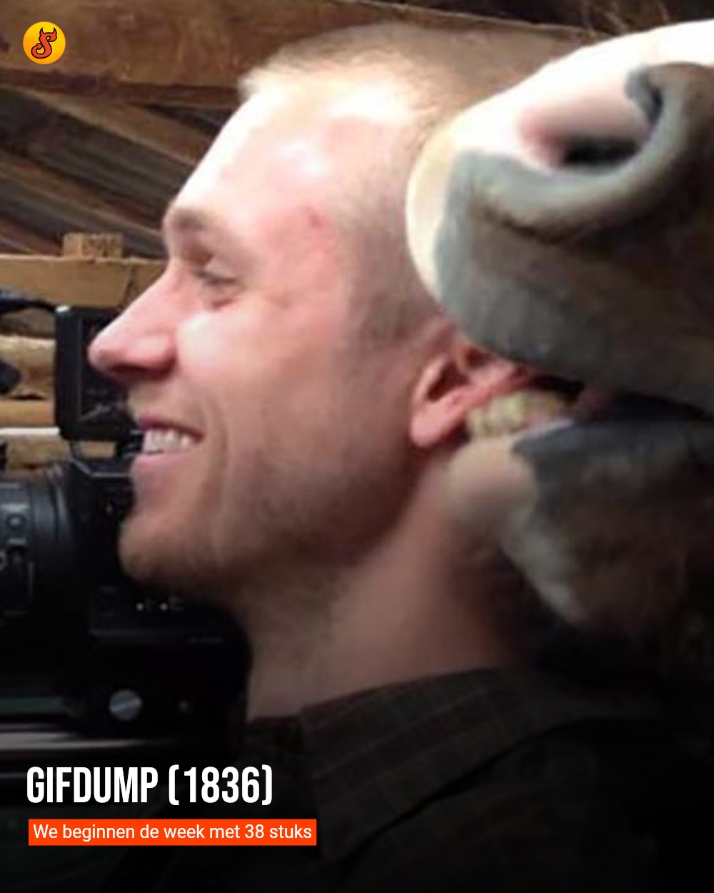 Gifdump (1836)
