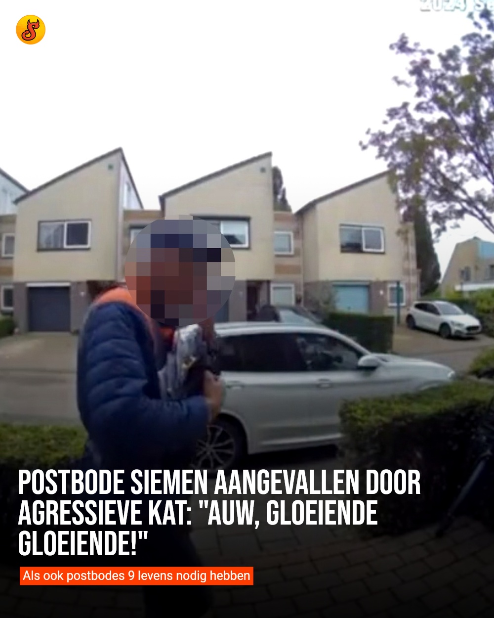 Postbode Siemen aangevallen door agressieve kat: "Auw, gloeiende gloeiende!"