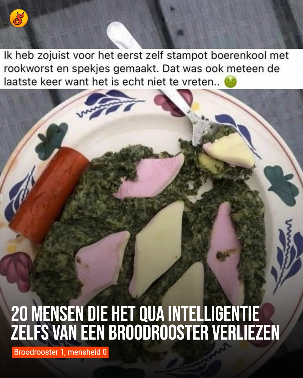 20 mensen die het qua intelligentie zelfs van een broodrooster verliezen