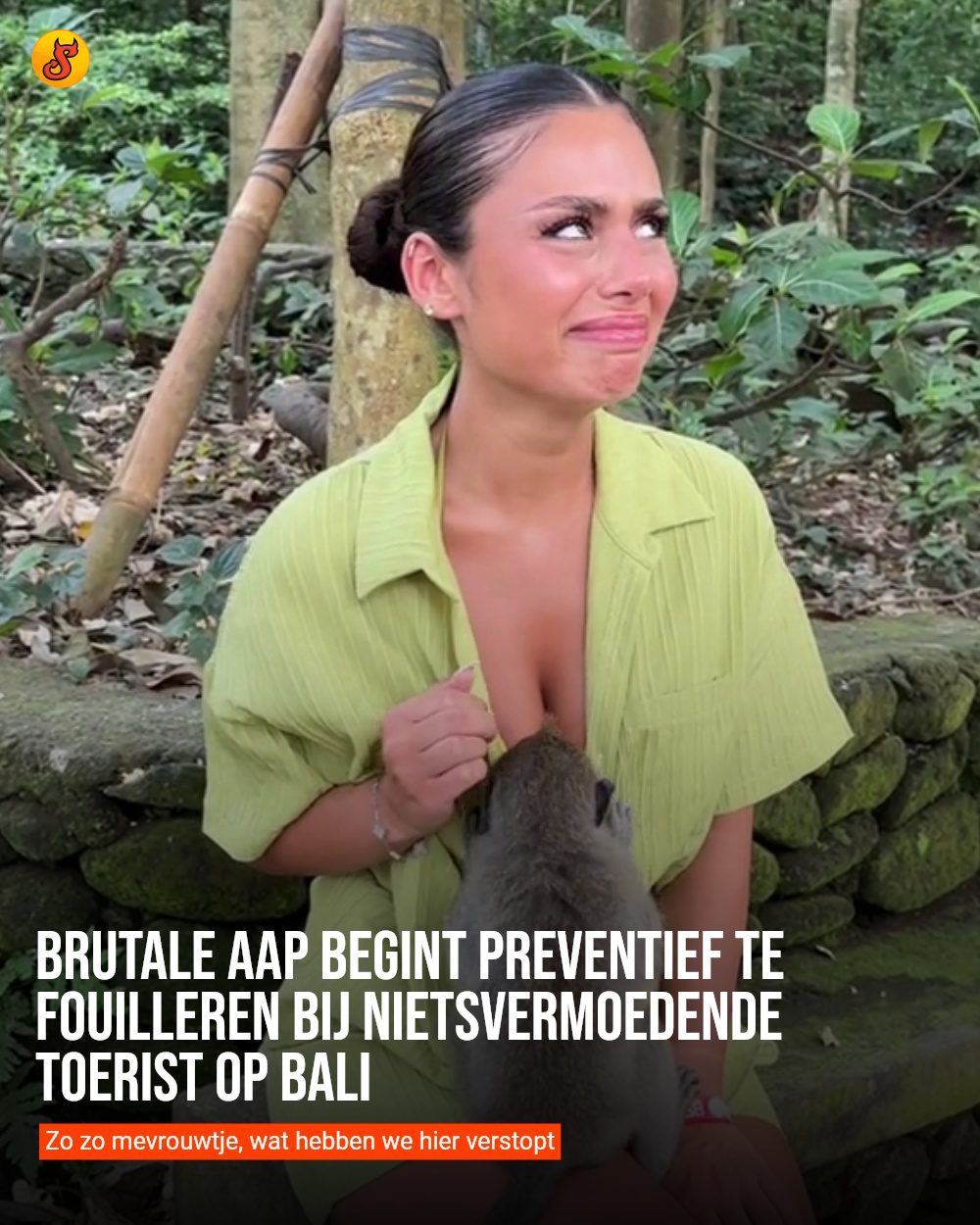 Brutale aap begint preventief te fouilleren bij nietsvermoedende toerist op Bali