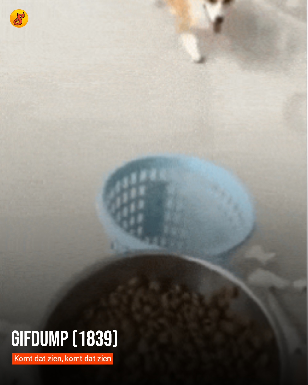 Gifdump (1839)