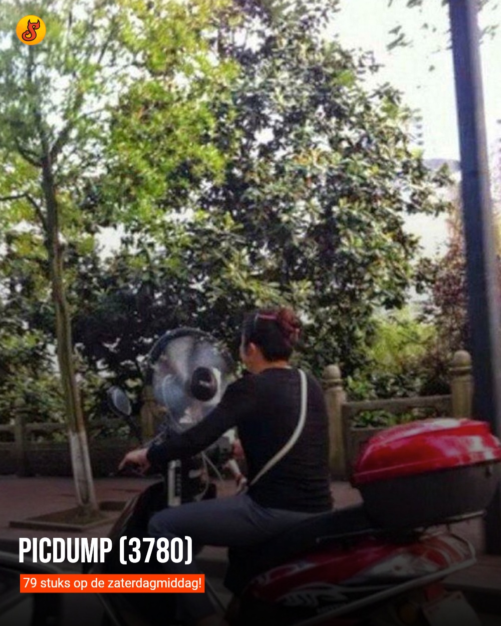 Picdump (3780)