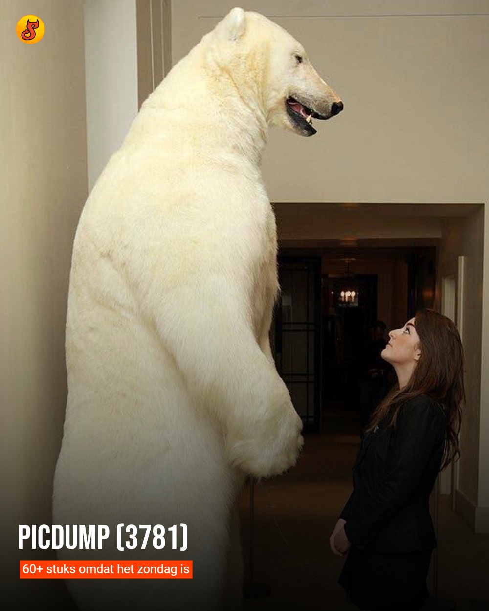 Picdump (3781)