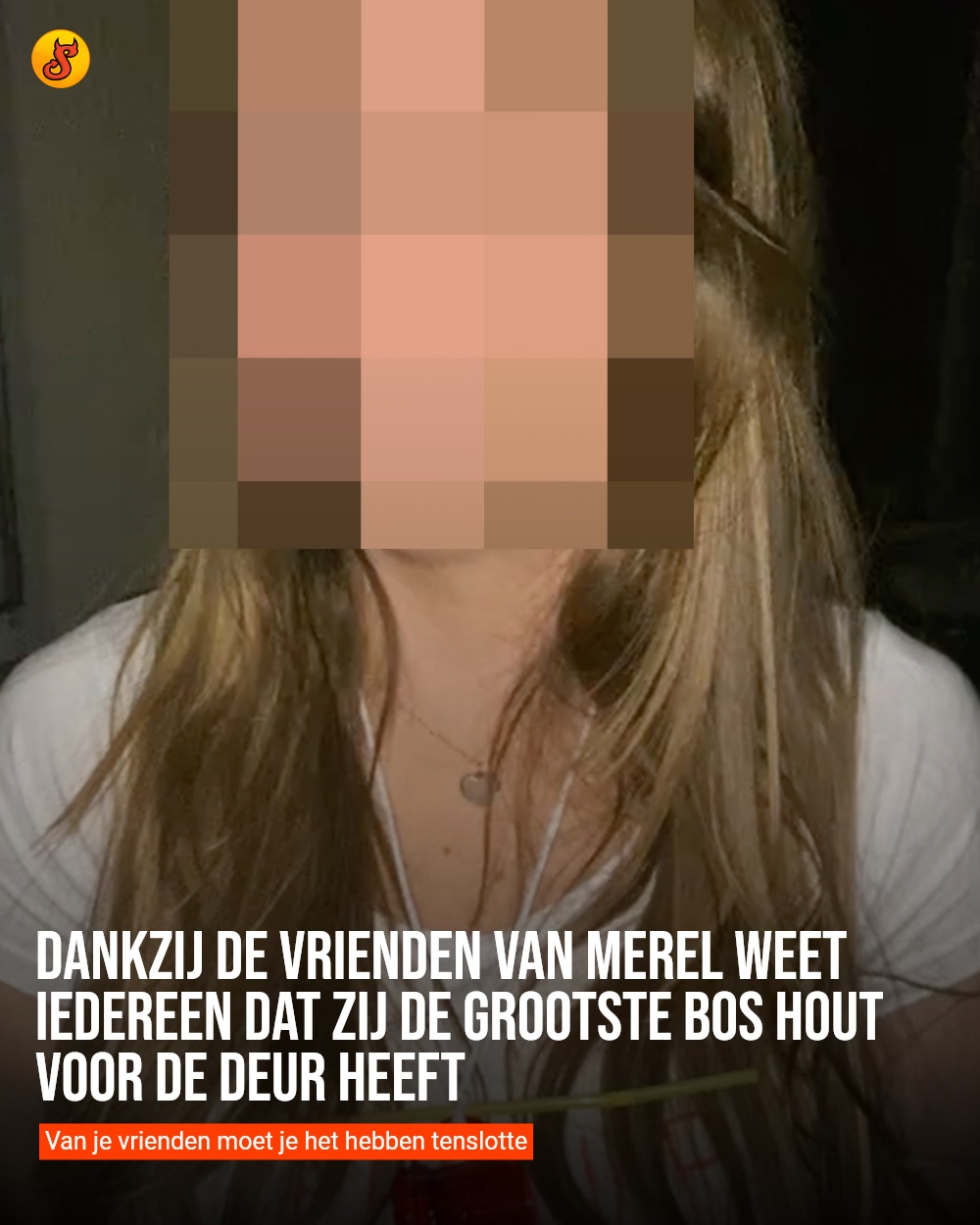 Dankzij de vrienden van Merel weet iedereen dat zij de grootste bos hout voor de deur heeft