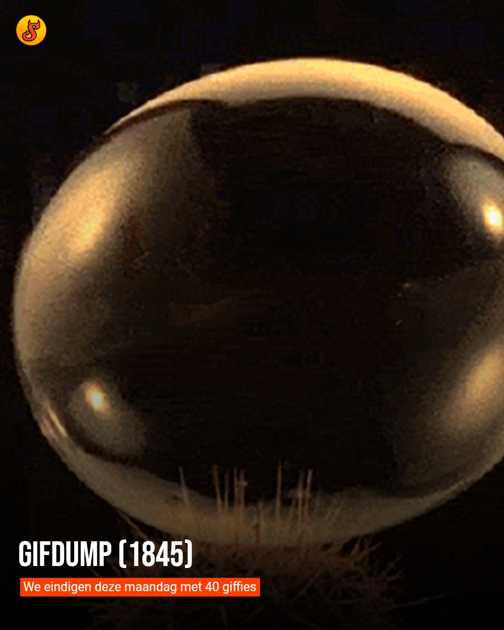 Gifdump (1845)