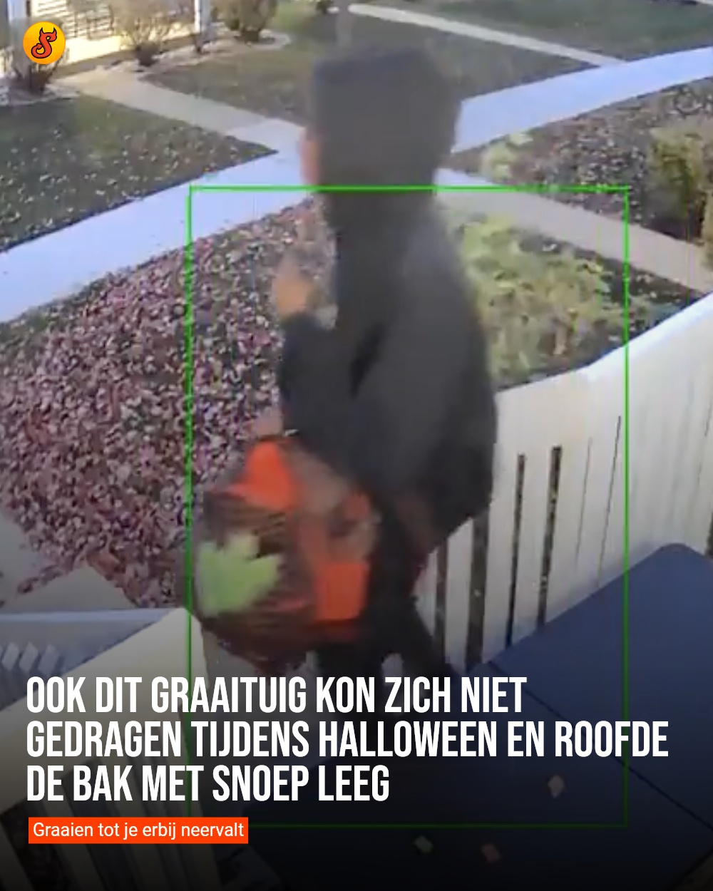 Ook dit graaituig kon zich niet gedragen tijdens Halloween en roofde de bak met snoep leeg