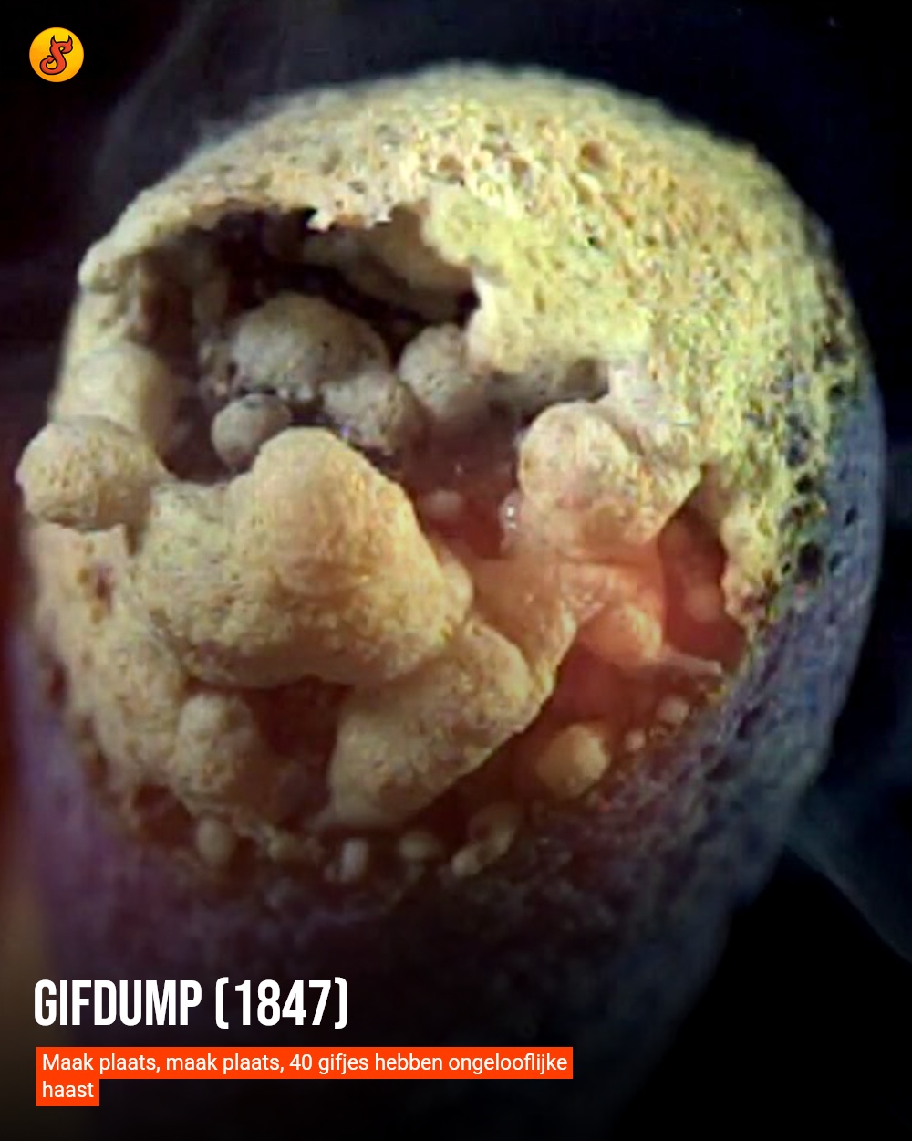 Gifdump (1847)