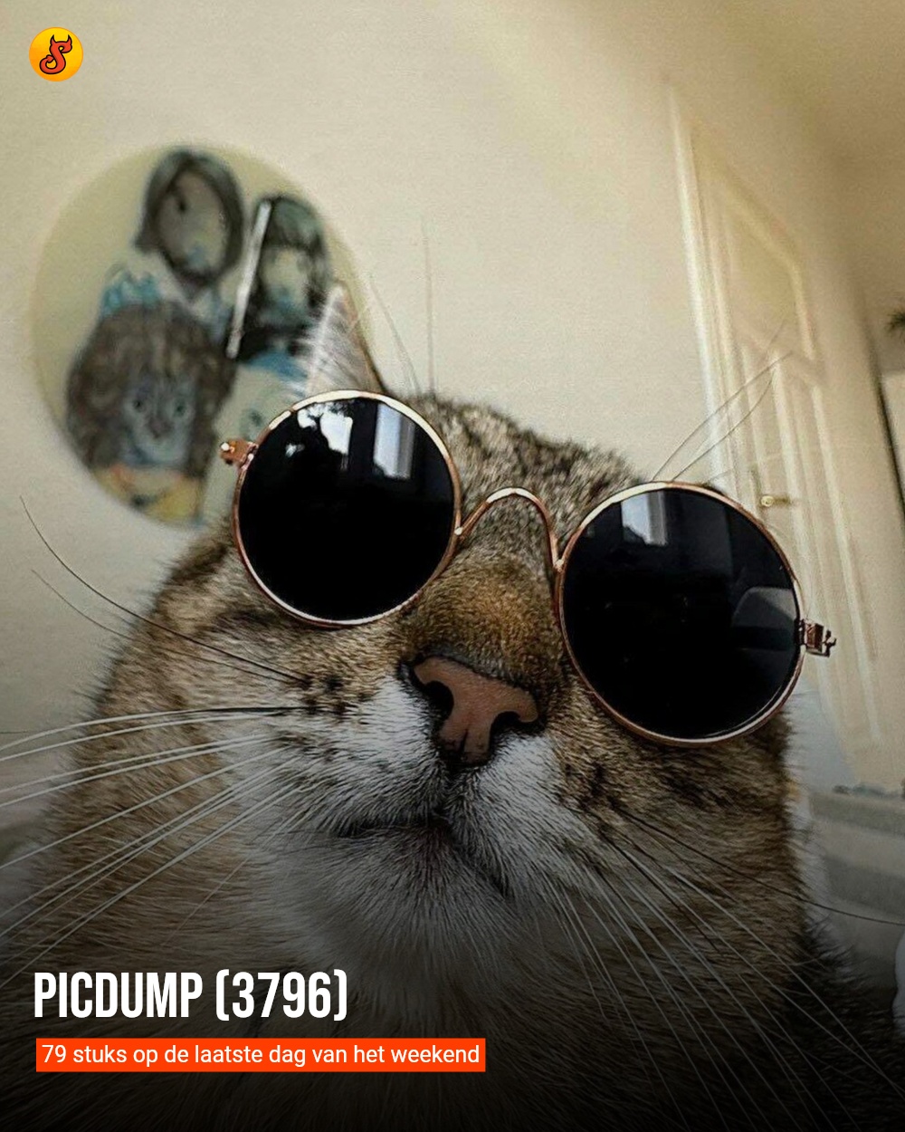 Picdump (3796)