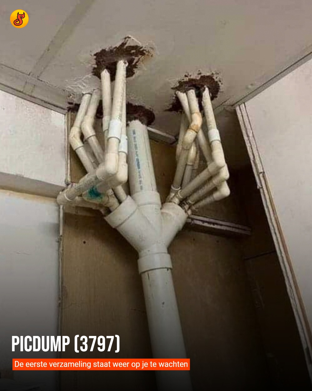 Picdump (3797)