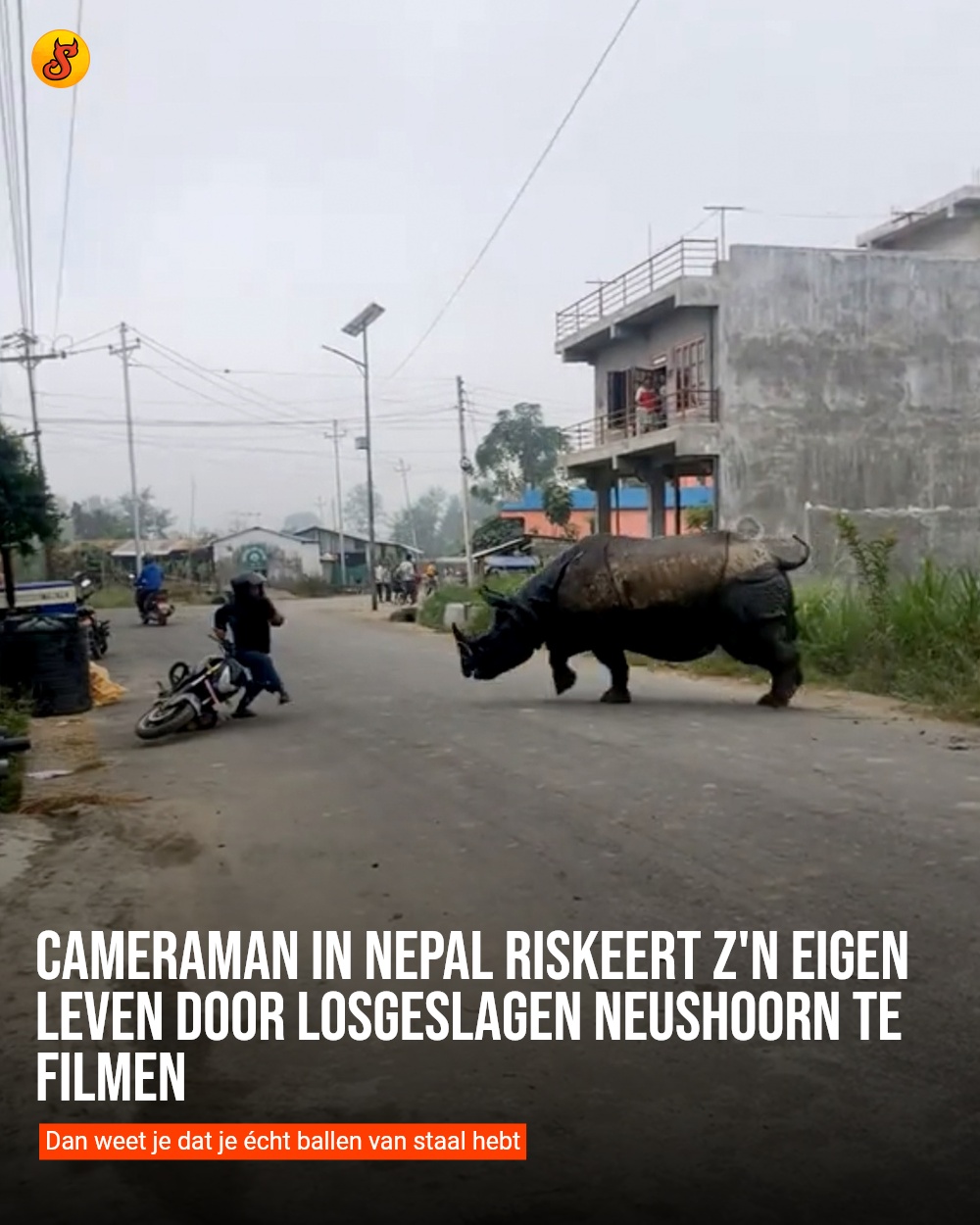 Cameraman in Nepal riskeert z'n eigen leven door losgeslagen neushoorn te filmen