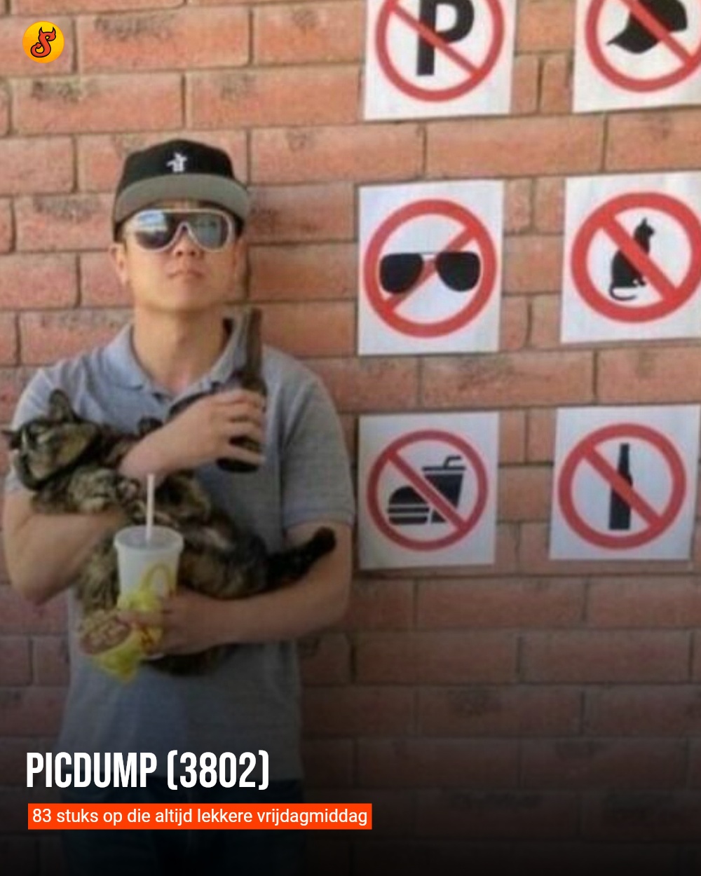 Picdump (3802)
