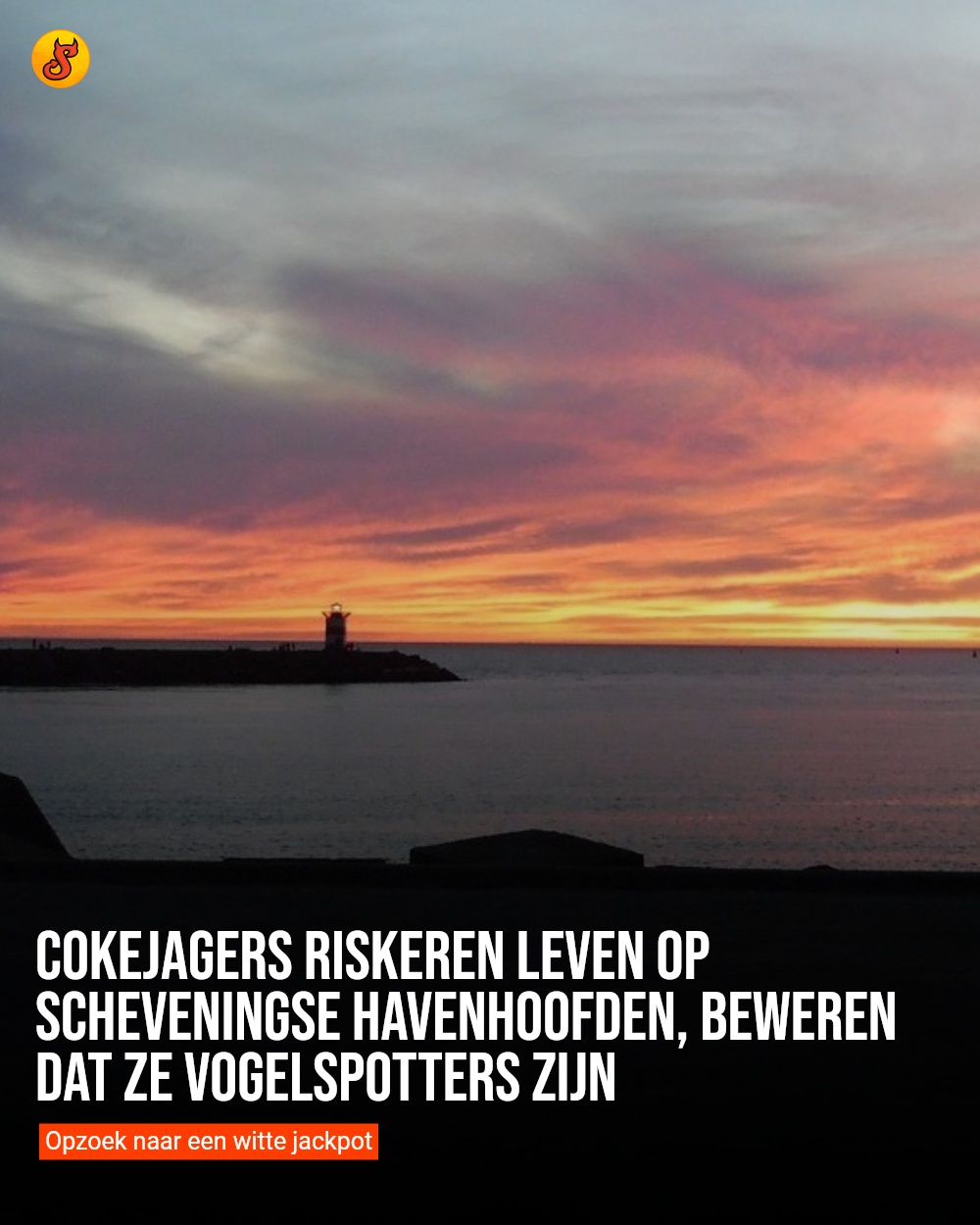 Cokejagers riskeren leven op Scheveningse havenhoofden, beweren dat ze vogelspotters zijn
