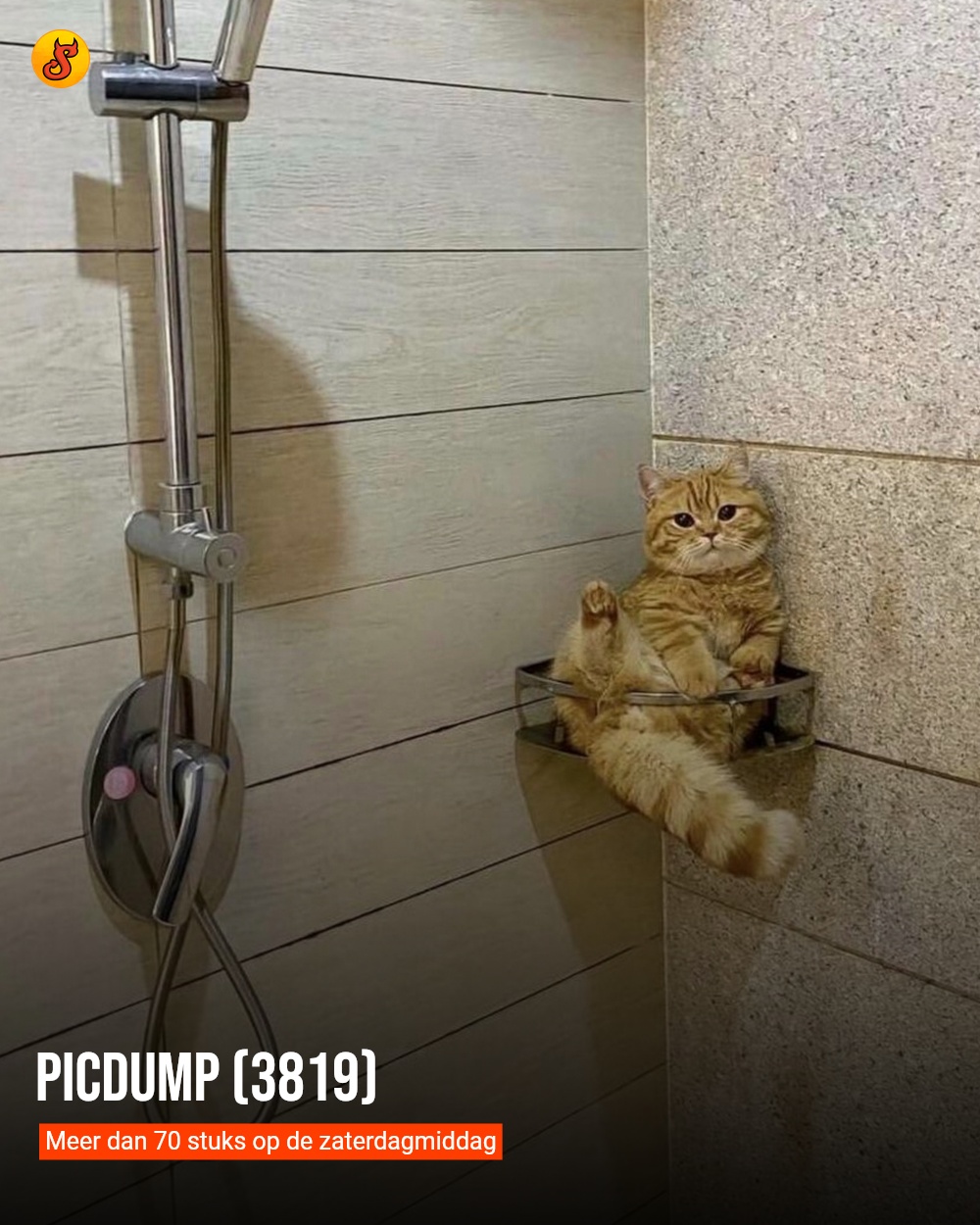 Picdump (3819)