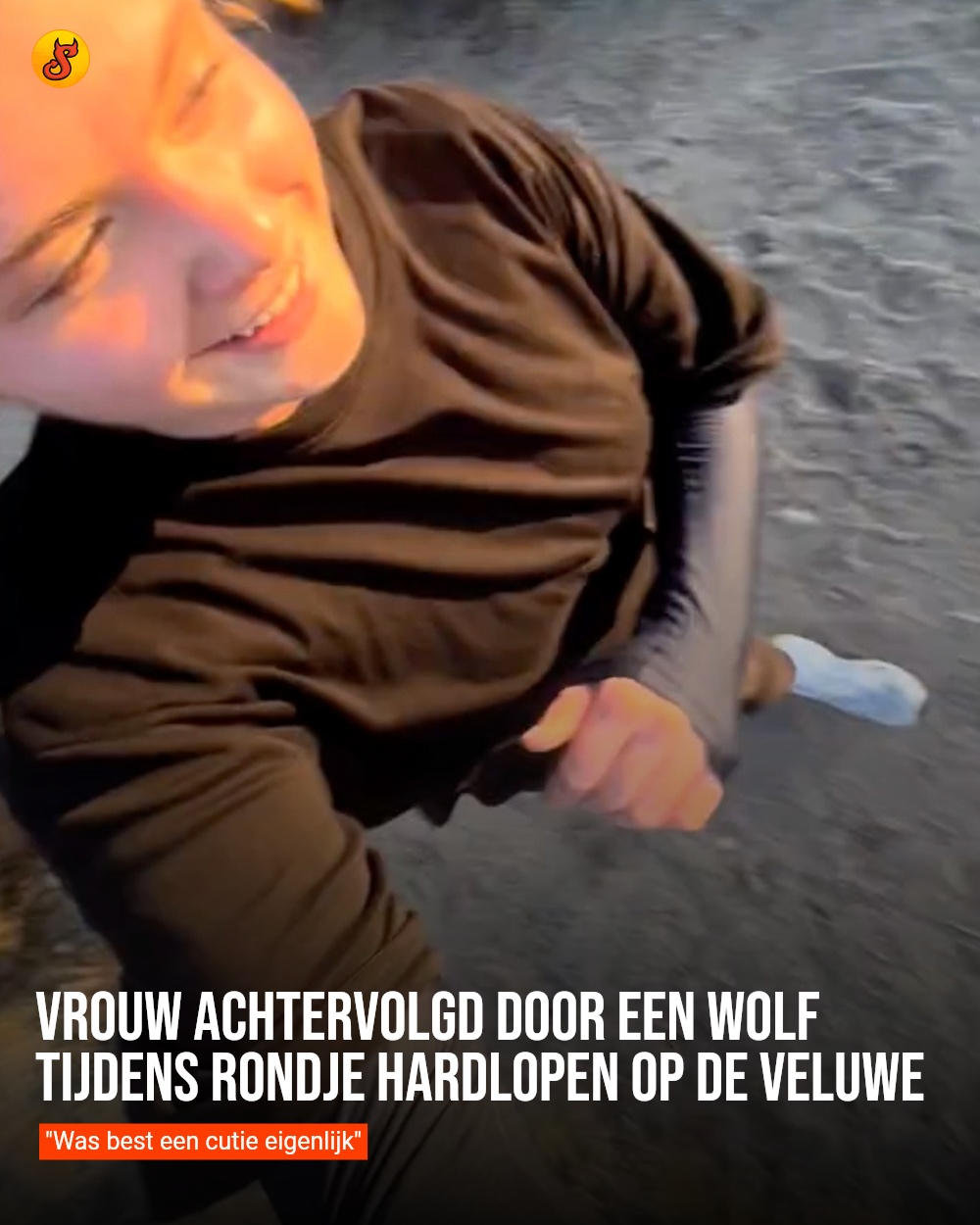 Vrouw achtervolgd door een wolf tijdens rondje hardlopen op de Veluwe