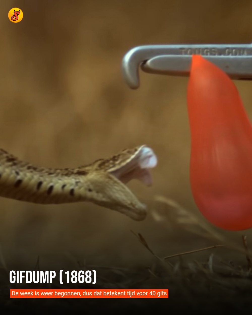 Gifdump (1868)