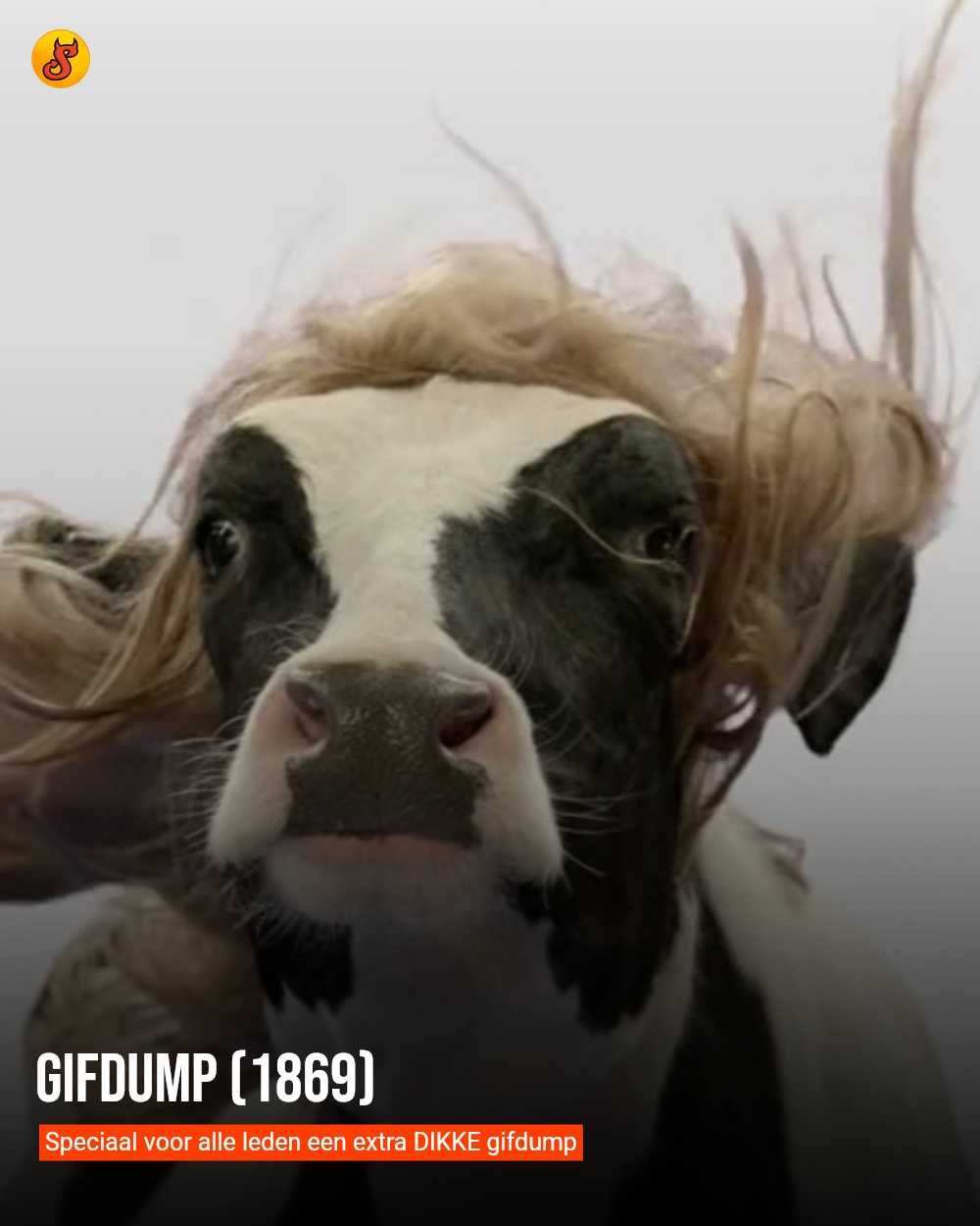 Gifdump (1869)
