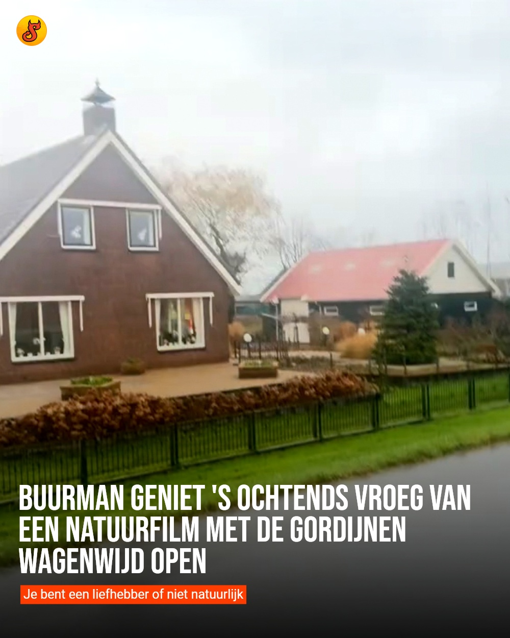 Buurman geniet 's ochtends vroeg van een natuurfilm met de gordijnen wagenwijd open