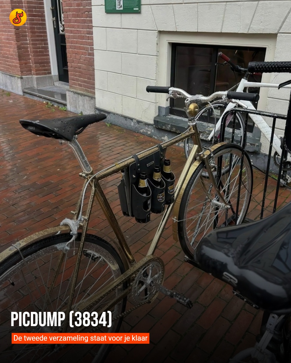 Picdump (3834)