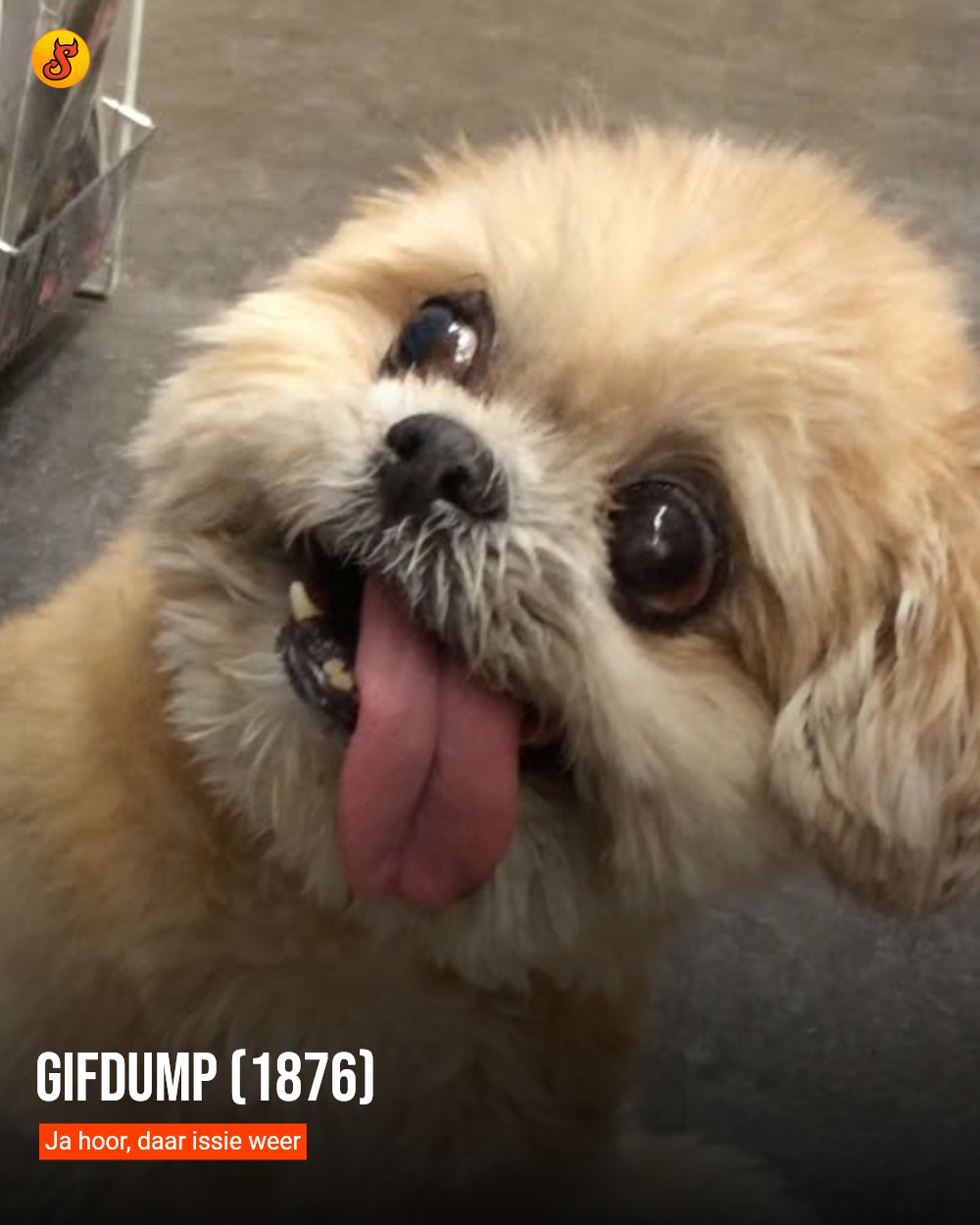 Gifdump (1876)