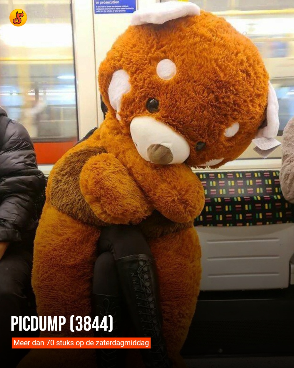 Picdump (3844)