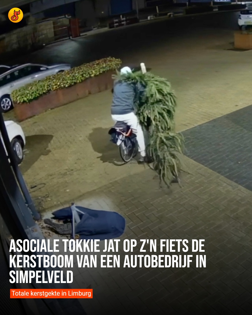 Asociale Tokkie jat op z'n fiets de kerstboom van een autobedrijf in Simpelveld