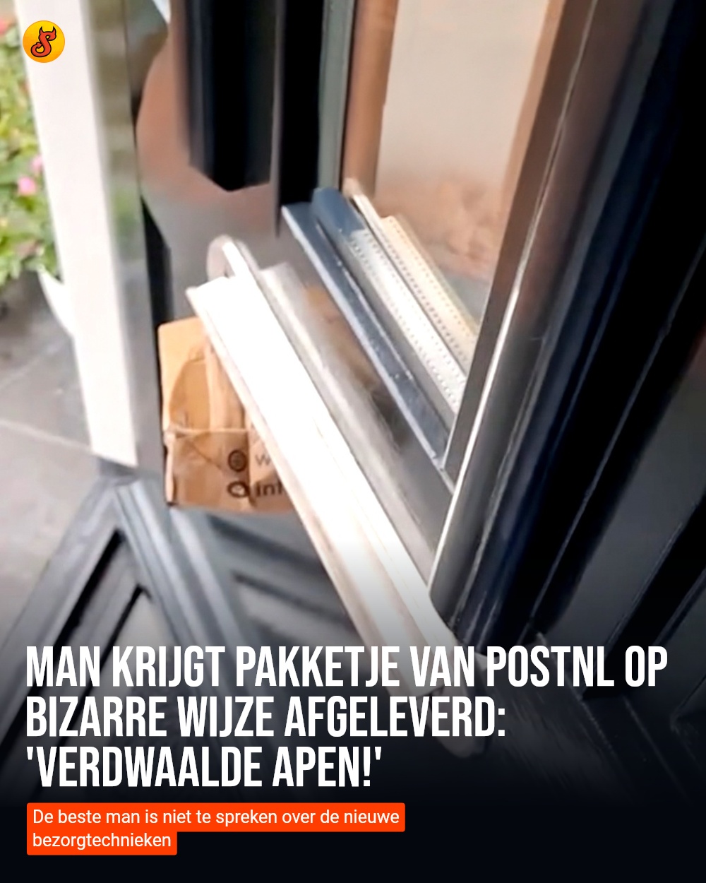 Man krijgt pakketje van PostNL op bizarre wijze afgeleverd: 'Verdwaalde apen!'