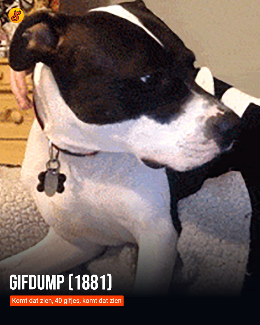 Gifdump (1881)