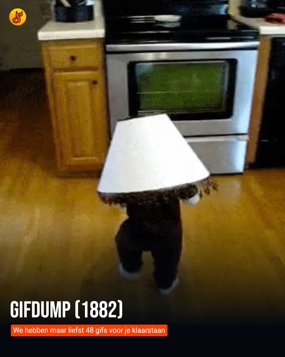 Gifdump (1882)