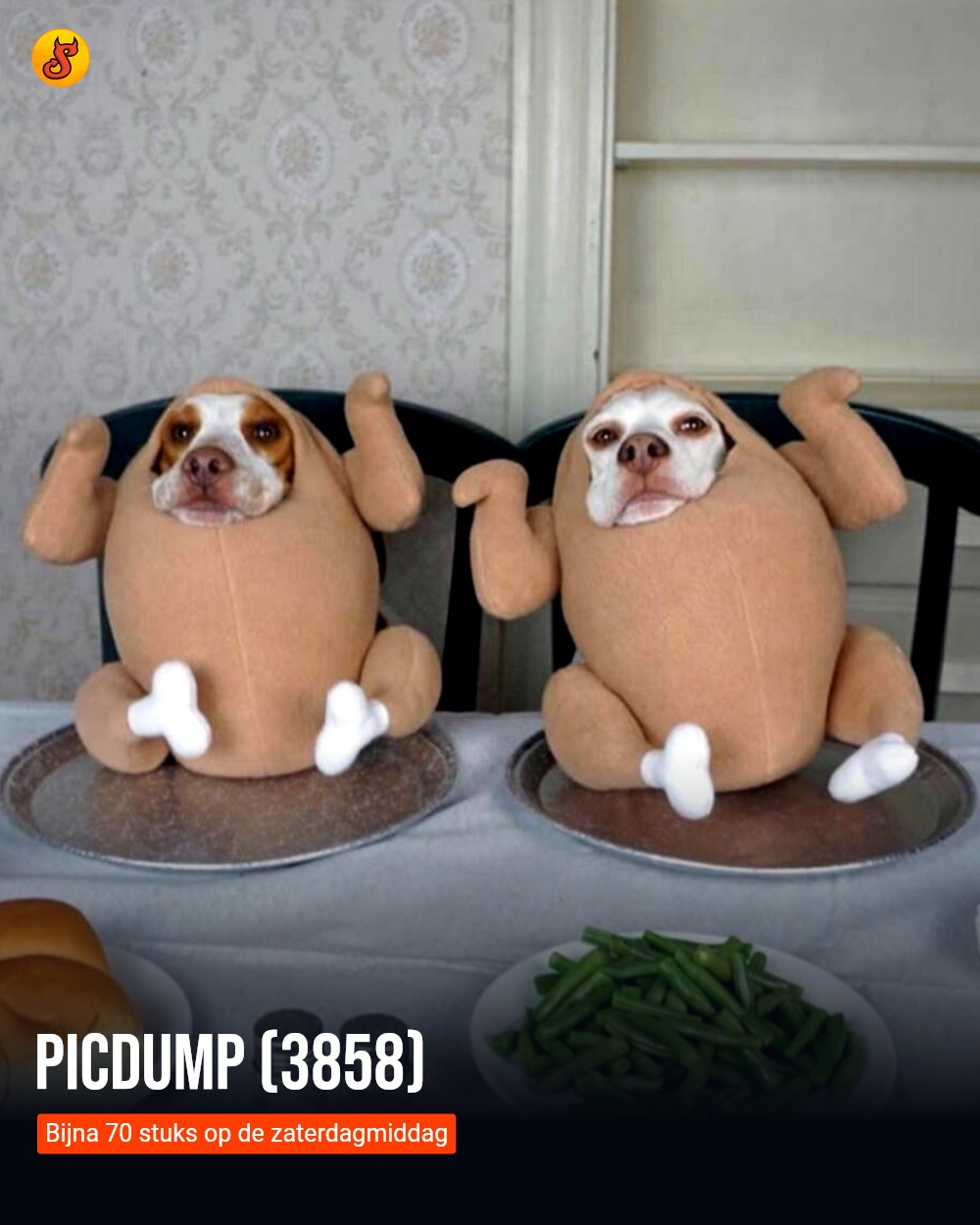 Picdump (3858)