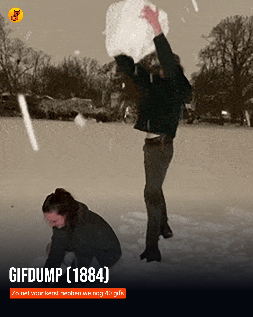 Gifdump (1884)