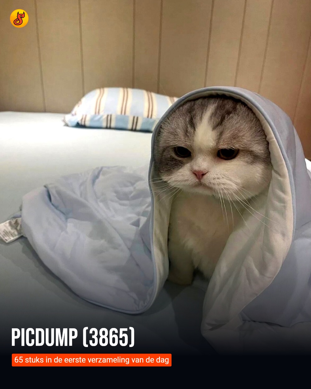 Picdump (3865)