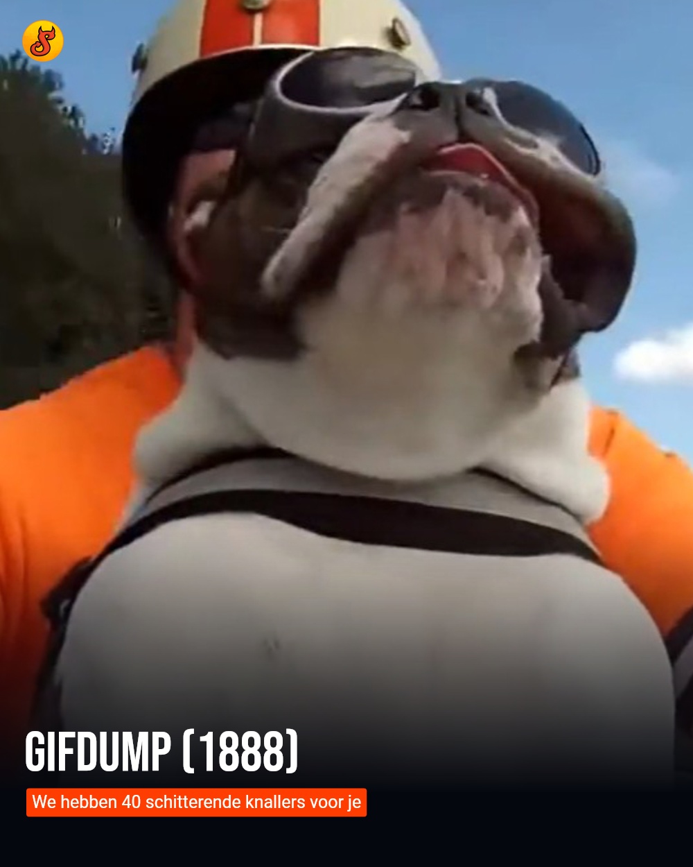 Gifdump (1888)