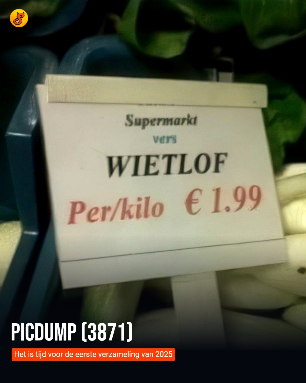 Picdump (3871)