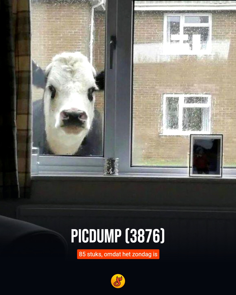 Picdump (3876)