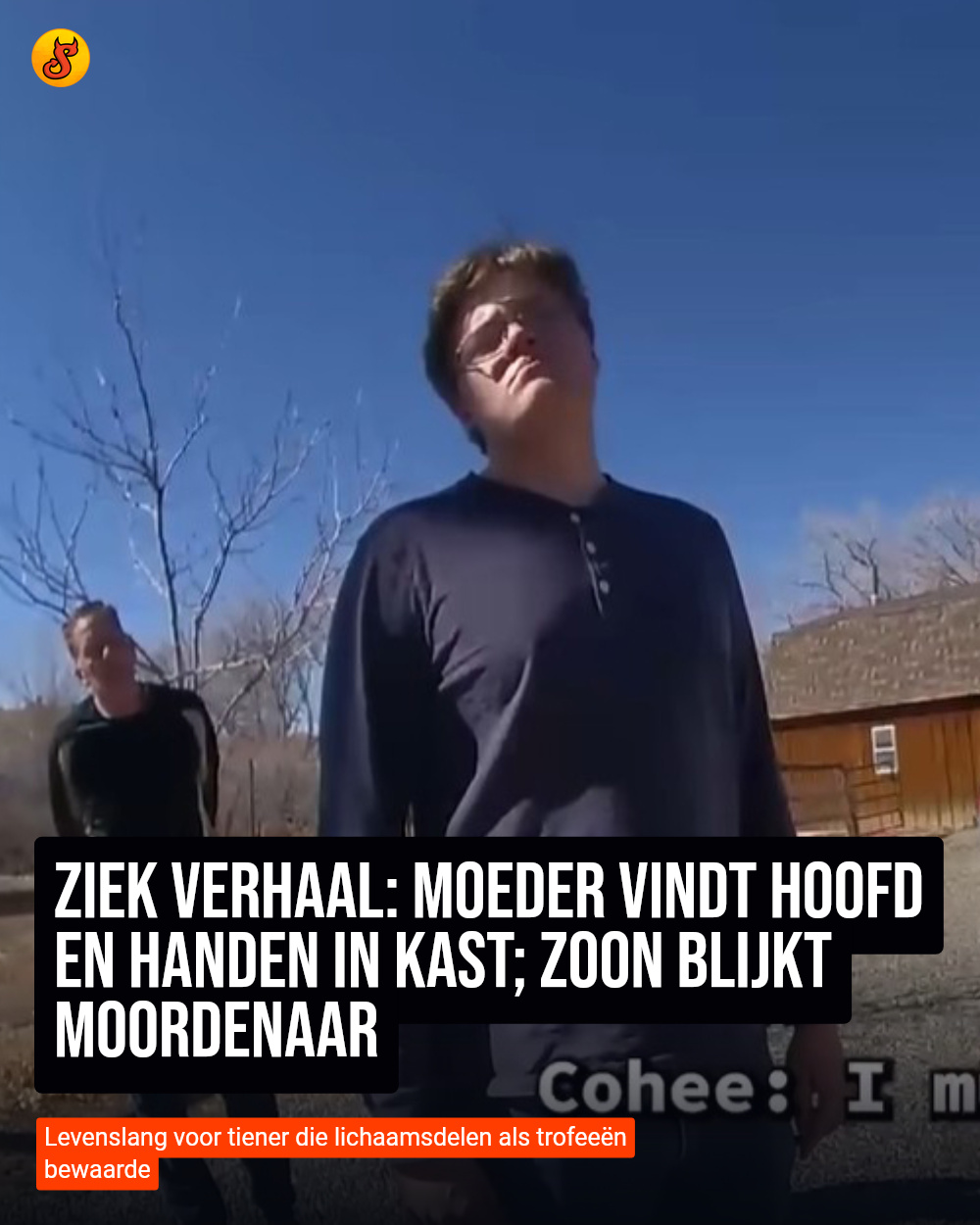 Ziek verhaal: Moeder vindt hoofd en handen in kast; zoon blijkt moordenaar