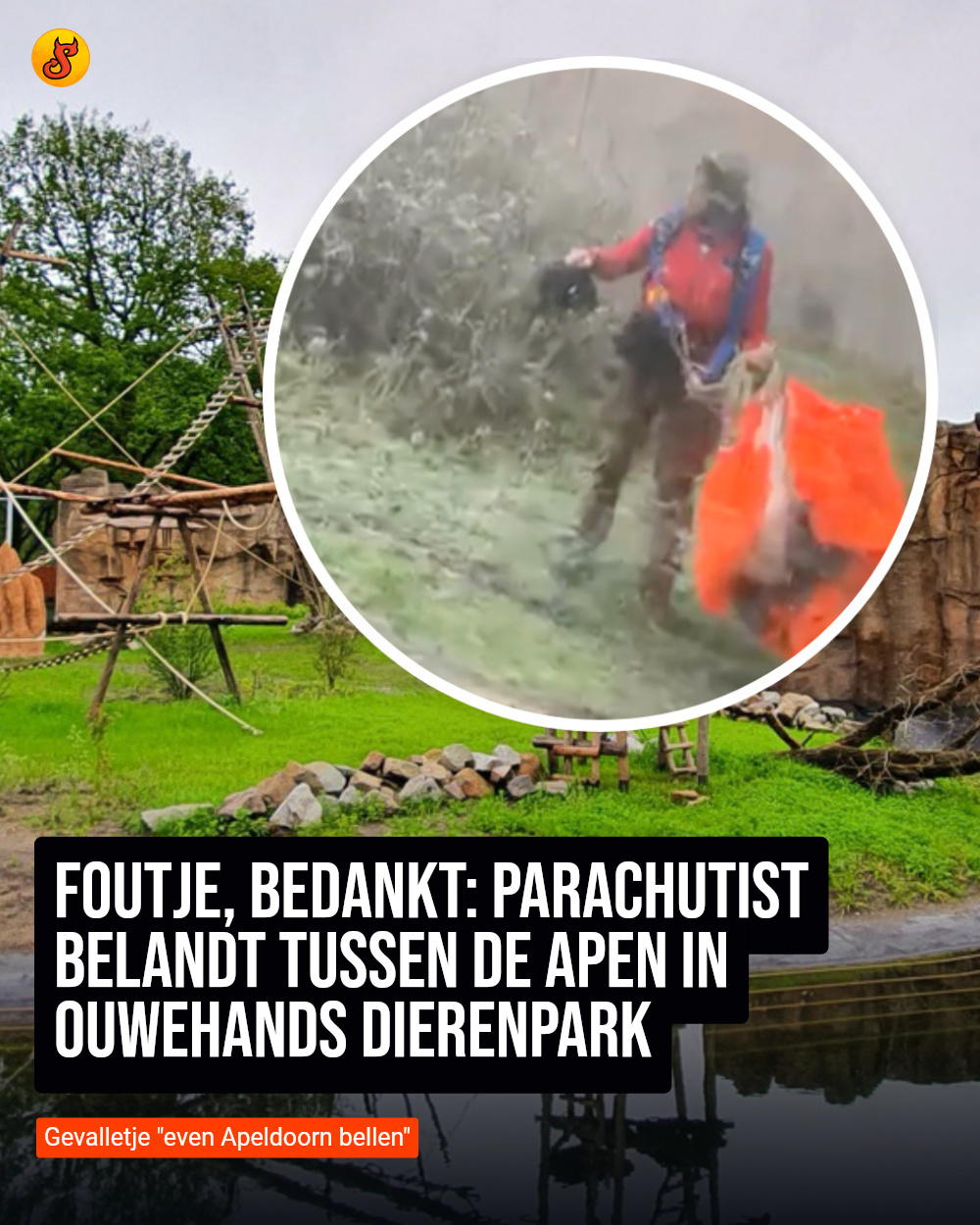 Foutje, bedankt: Parachutist belandt tussen de apen in Ouwehands Dierenpark