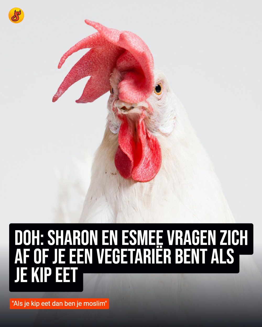 DOH: Sharon en Esmee vragen zich af of je een vegetariër bent als je kip eet