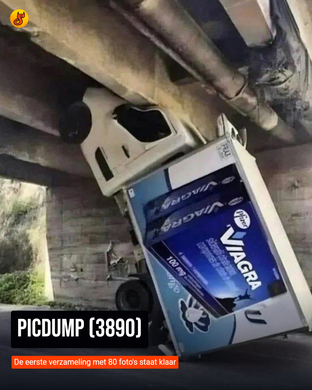Picdump (3890)