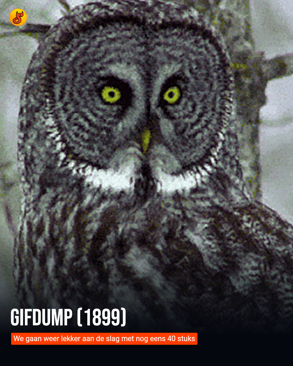 Gifdump (1899)