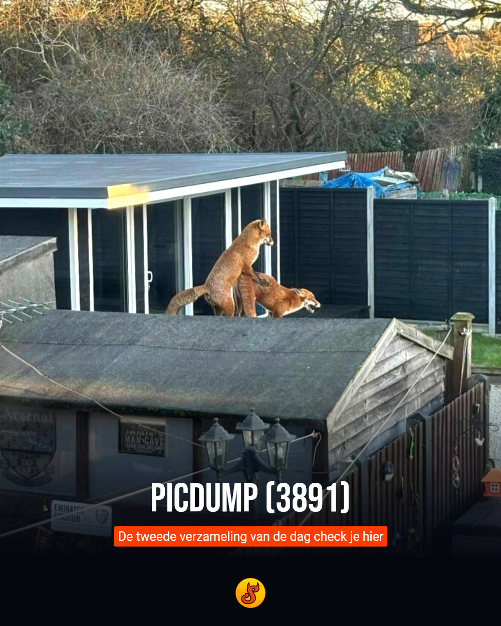 Picdump (3891)