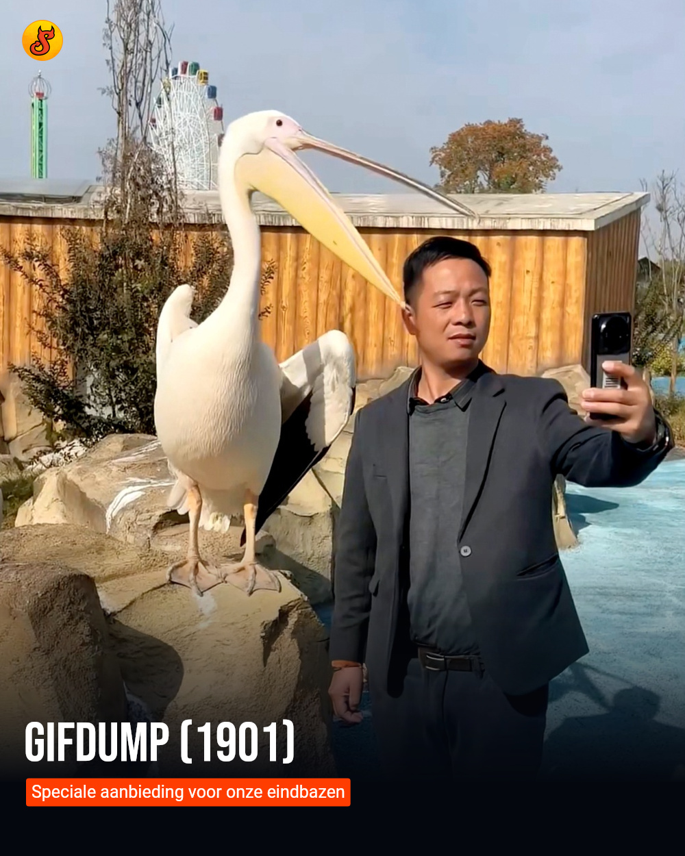 Gifdump (1901)