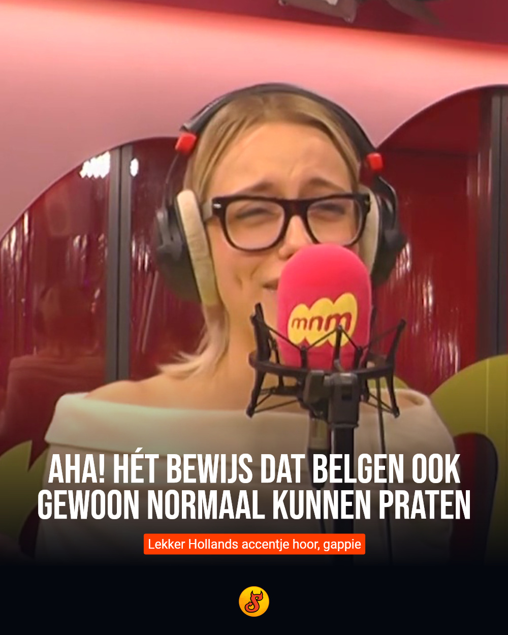 Aha! Hét bewijs dat Belgen ook gewoon normaal kunnen praten