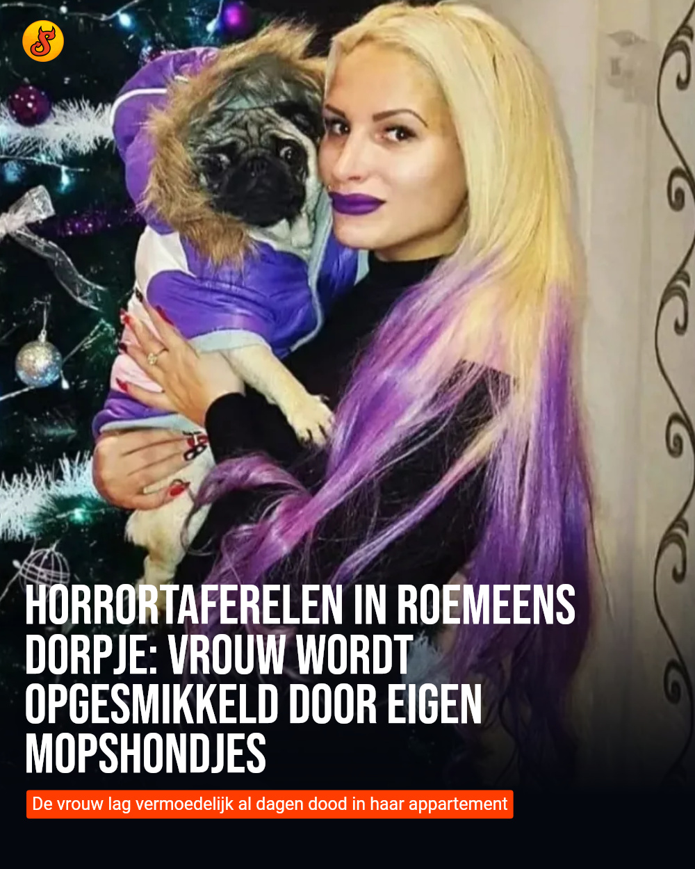 Horrortaferelen in Roemeens dorpje: vrouw wordt opgesmikkeld door eigen mopshondjes