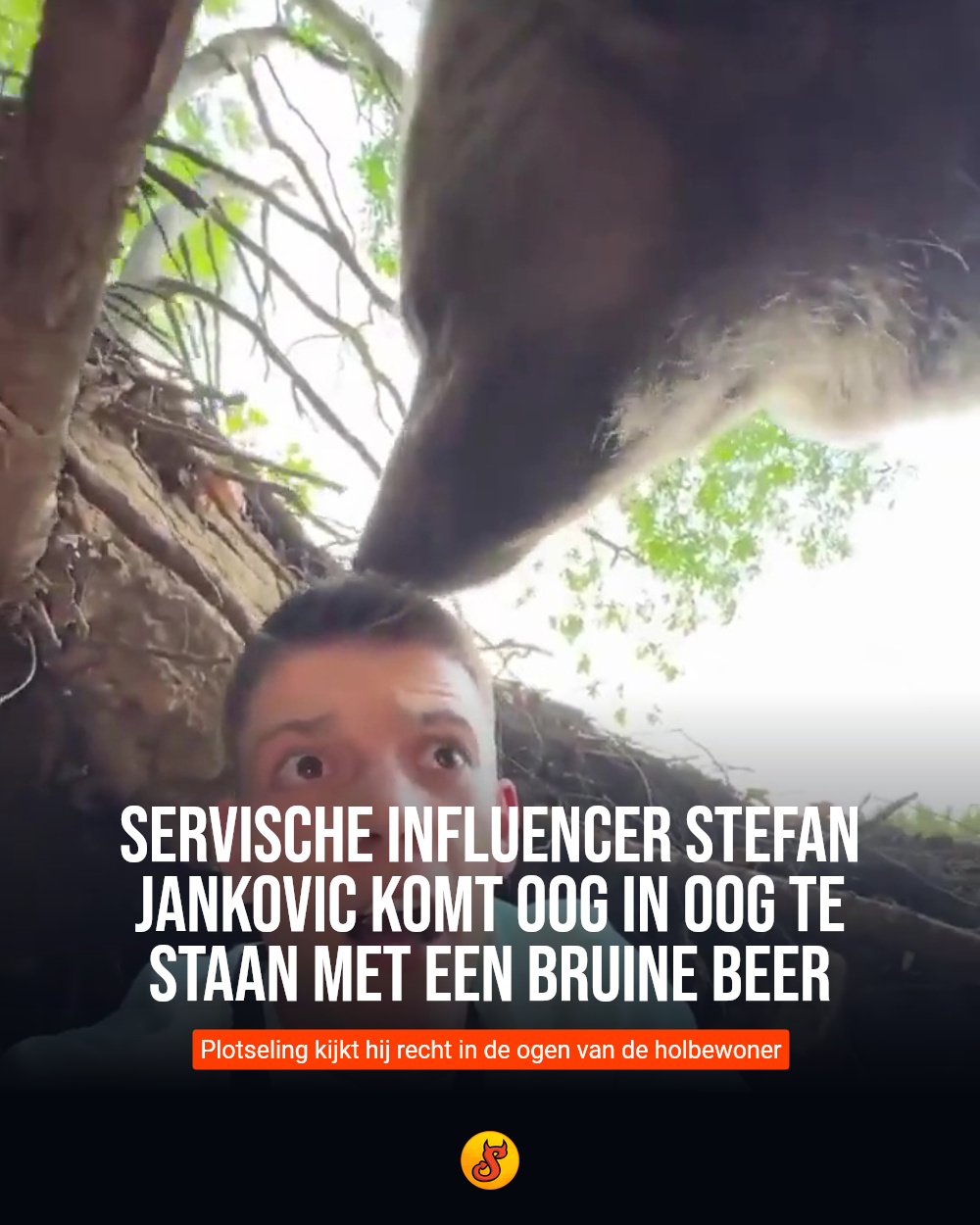 Servische influencer Stefan Jankovic komt oog in oog te staan ​​met een bruine beer