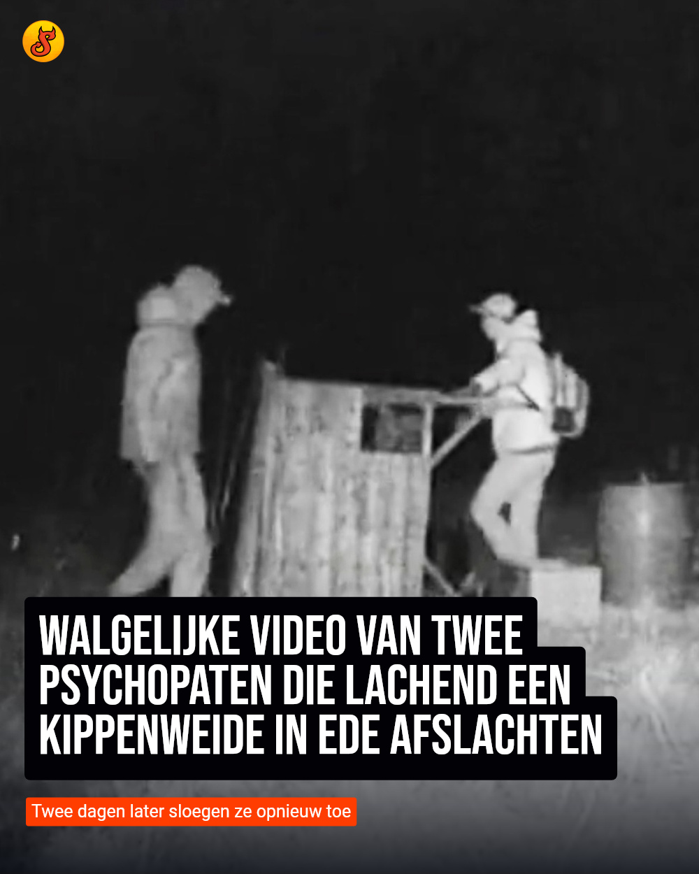 Walgelijke video van twee psychopaten die lachend een kippenweide in Ede afslachten