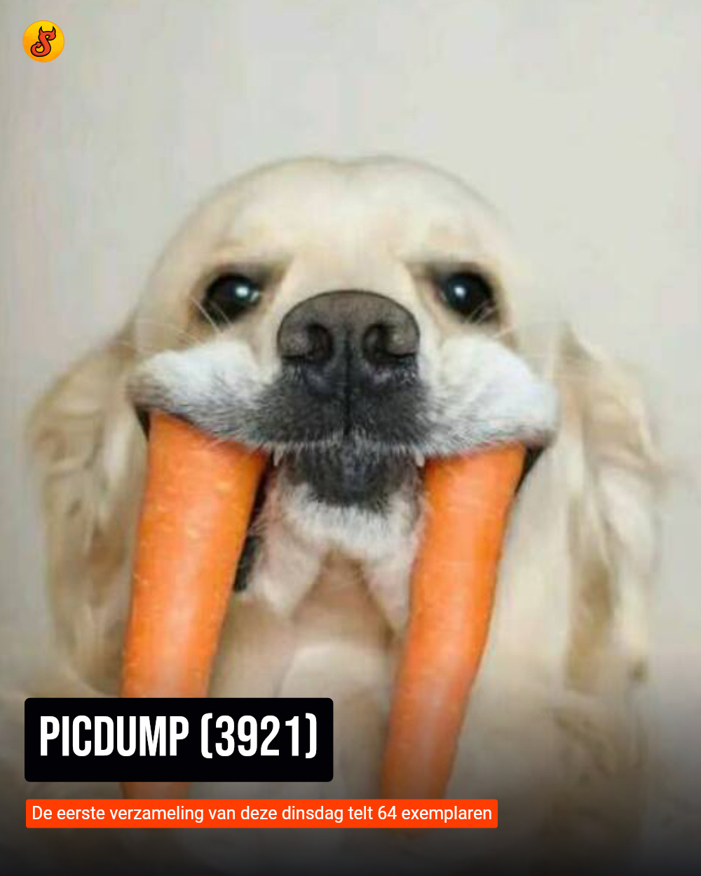 Picdump (3921)