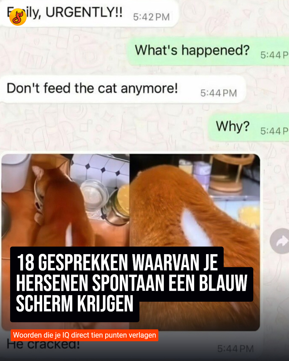 18 gesprekken waarvan je hersenen spontaan een blauw scherm krijgen